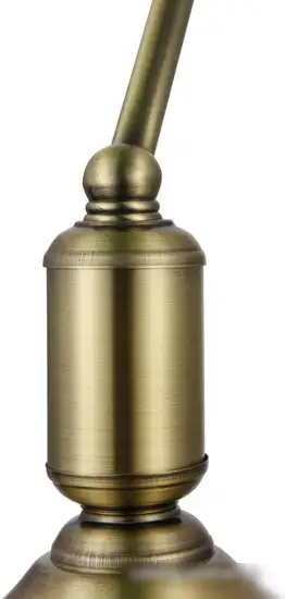 Лампа Maytoni Table & Floor Kiwi Z153-TL-01-BS – фото товара