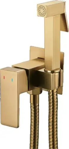 Гигиенический душ Shevanik S127G - изображение в каталоге