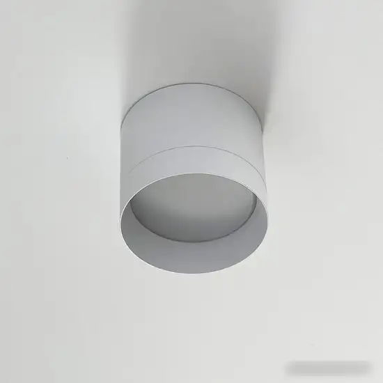 Точечный светильник TruEnergy 21025 – фото товара