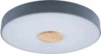 Люстра-тарелка LOFT IT Axel 10003/24 Grey – изображение в каталоге