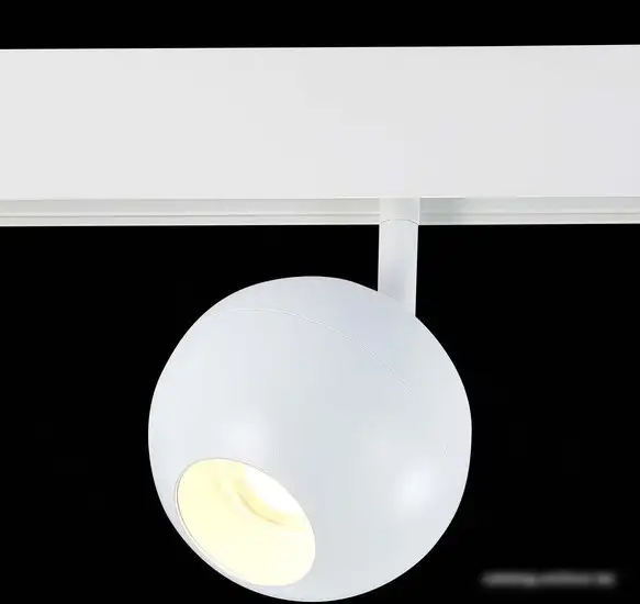 Трековый светильник ST Luce Bole ST354.536.12 – фото товара