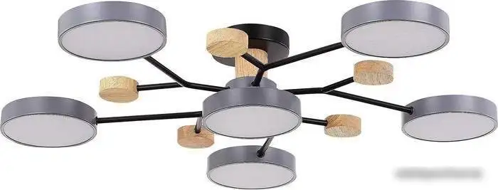 Припотолочная люстра Evoluce Faema SLE6006-702-06 – фото товара