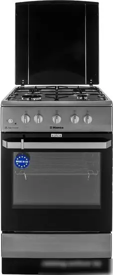 Кухонная плита Hansa FCGX58099 — фото товара