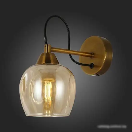 Бра Evoluce SLE110001-01 – фото товара