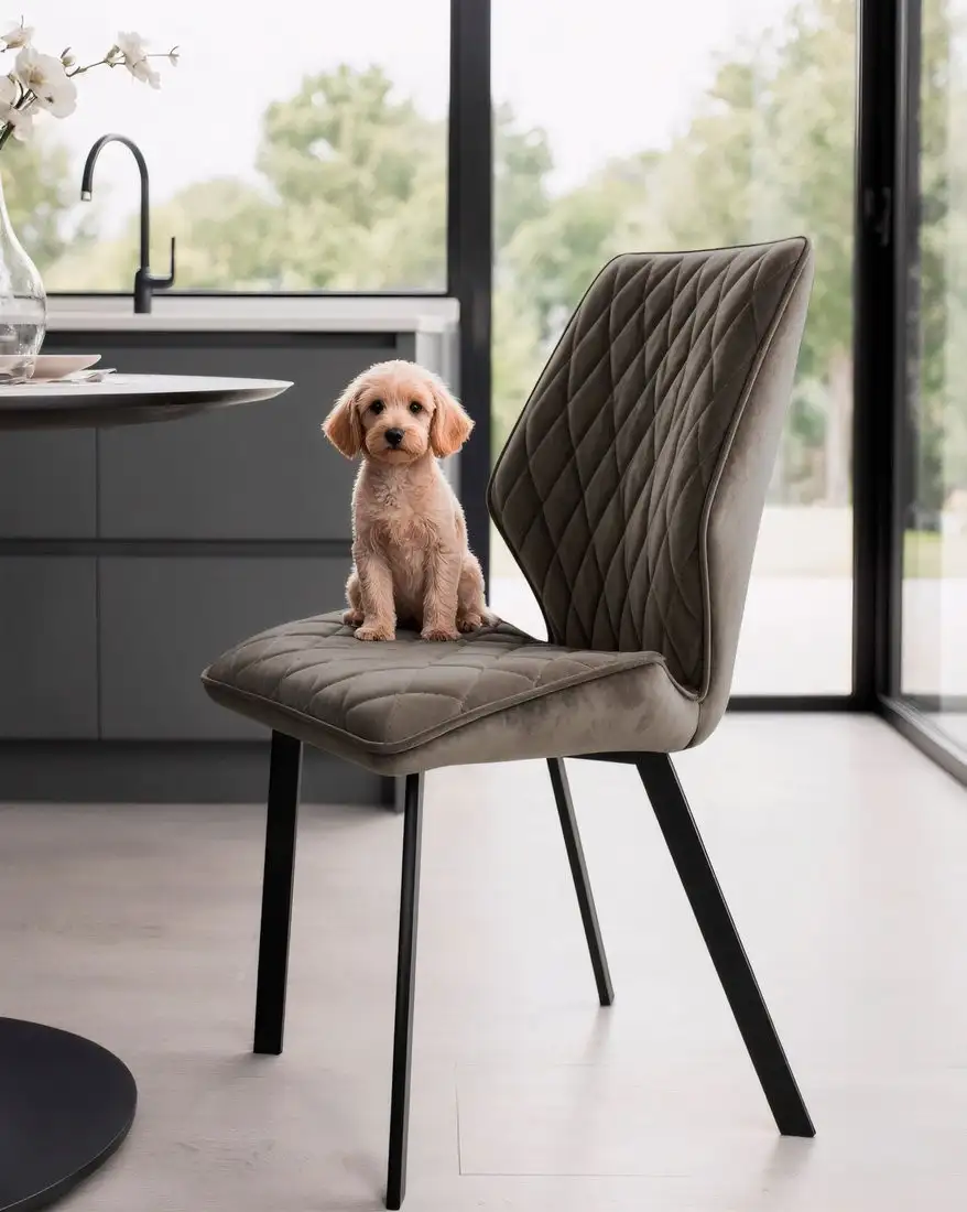 Стул Мамадома Rafael (b05 Latte Lux/черный)