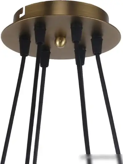 Подвесная люстра Favourite Vision 2763-6P – фото товара