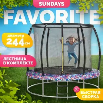 Батут Sundays Favorite Premium 8FT (смайл, с сеткой, с лестницей) – изображение в каталоге
