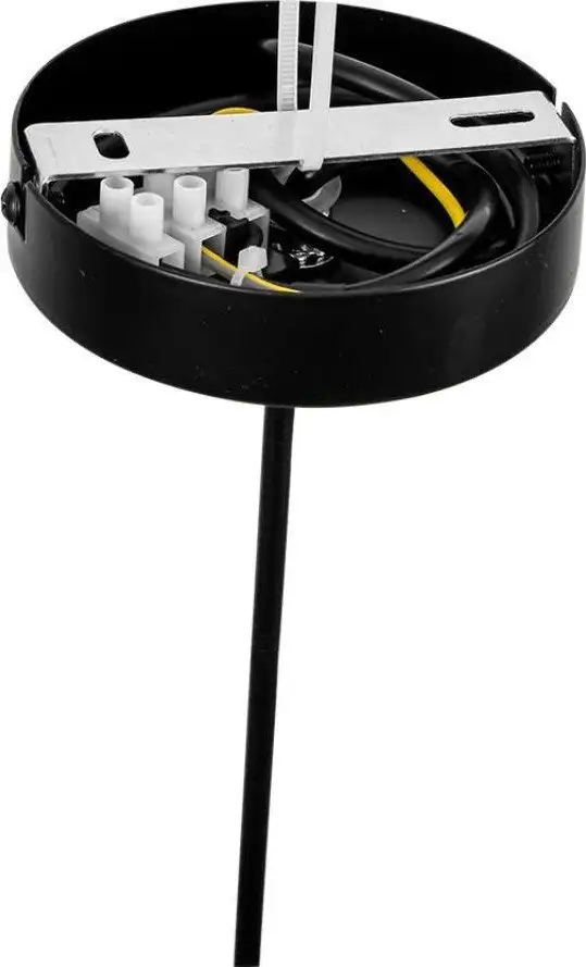 Подвесная люстра Lumion Tune 8302/1 – фото товара