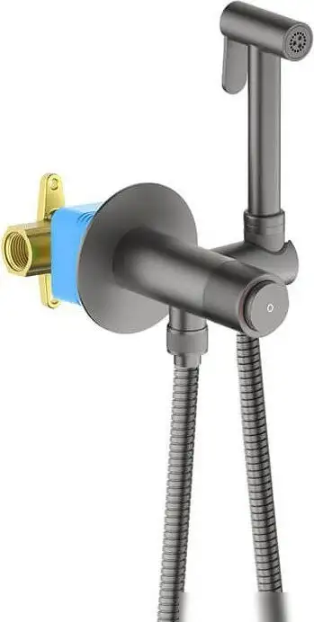 Гигиенический душ Aquatek Бетта AQ1023BGM - фото товара