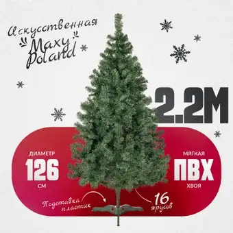 Ель Maxy Poland Горная (2.2м) – изображение в каталоге