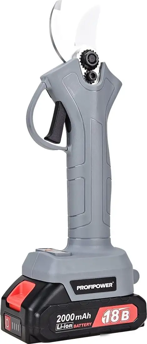Profipower MKGSP-18V (с 2-мя АКБ, кейс) – фото товара