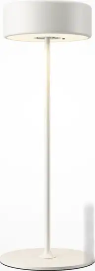 Настольная лампа Maytoni AI Collaboration MOD229TL-L3W3K2 – фото товара