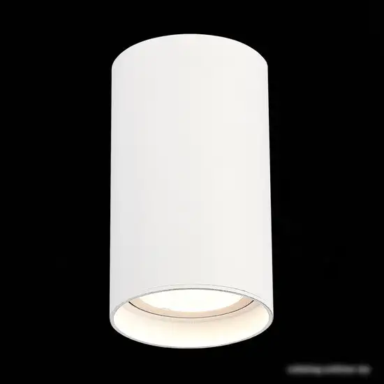Спот ST Luce ST157.542.20 – фото товара