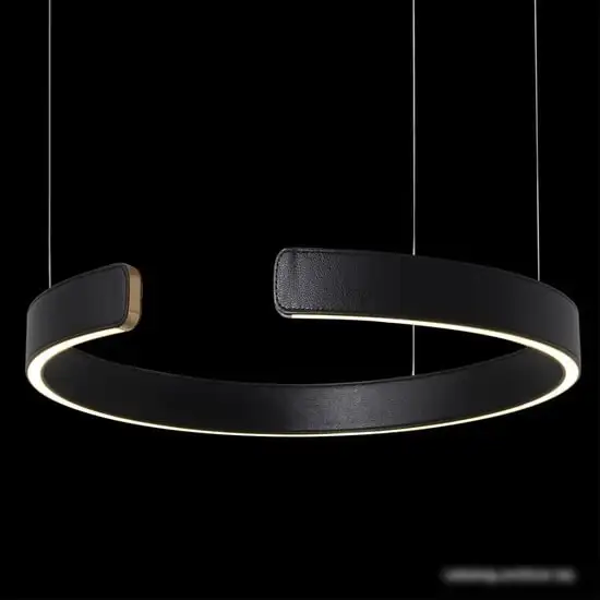 Подвесная люстра LOFT IT Ring 10025/400 Black – фото товара