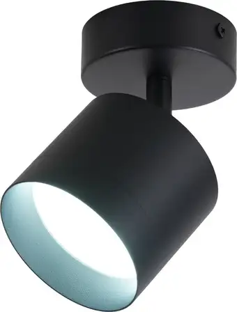 Спот TruEnergy 21028 – изображение в каталоге