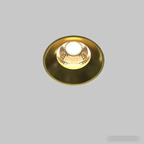 Точечный светильник Maytoni Round DL058-12W3K-TRS-BS – фото товара