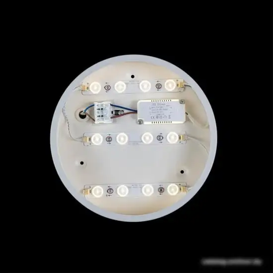 Люстра-тарелка LOFT IT Axel 10002/12 White – фото товара