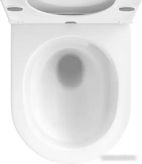 Унитаз подвесной Wellsee Chalice Perfection RimFree 182607001 (чаша, пневмокрышка, глянцевый белый) - фото товара