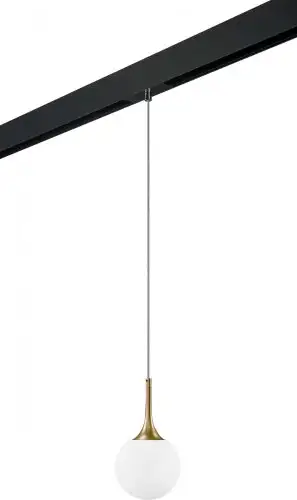Трековый светильник Lightstar Globo PRO813012 – изображение в каталоге