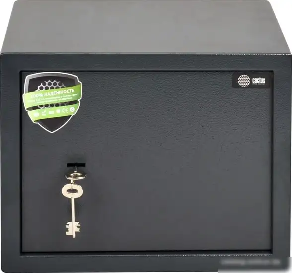 Мебельный сейф CACTUS CS-SF-K30 – фото товара