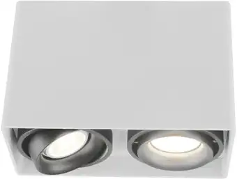 Точечный светильник Arte Lamp Pictor A5655PL-2WH – изображение в каталоге