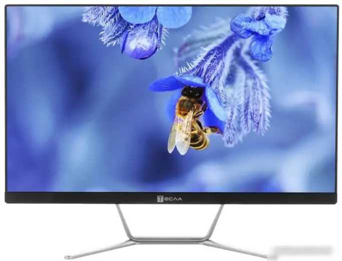 Моноблок ТЕСЛА Z24B 7408500 – фото товара