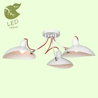 Подвесная люстра Lussole LOFT GRLSP-8126 – изображение в каталоге