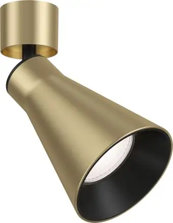 Точечный светильник Maytoni Virar C061CL-01MG – изображение в каталоге