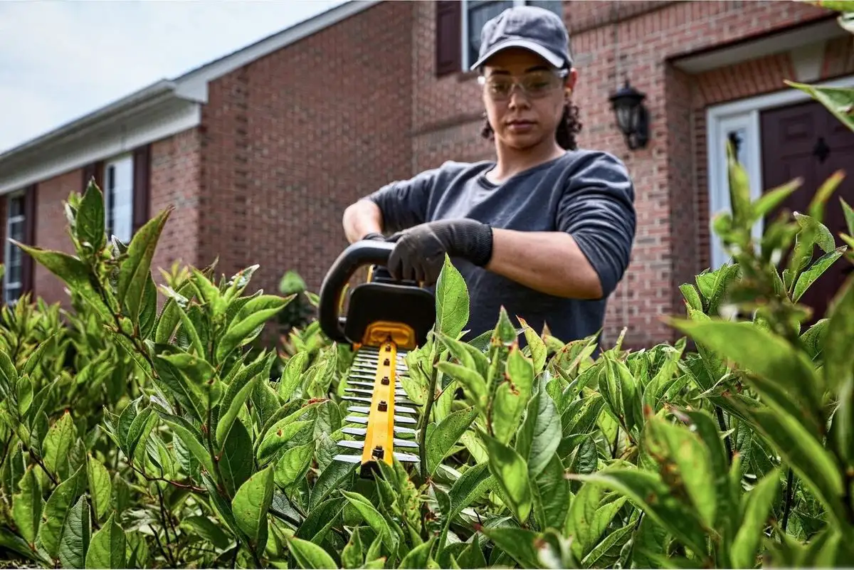 Кусторез DeWalt DCMHT573X1 (с 1-им АКБ) – фото товара