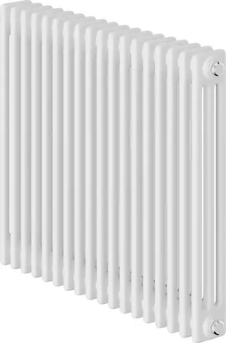 Стальной трубчатый радиатор Royal Thermo Insignia C3050 - 18 секций RAL9016 - изображение в каталоге