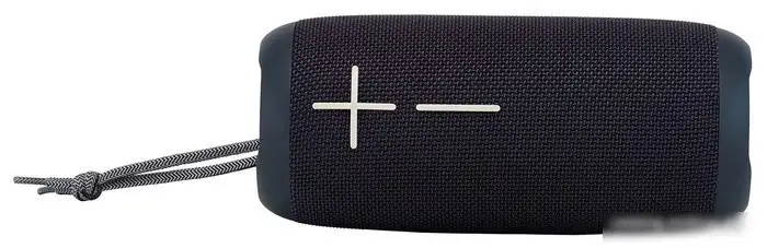 Беспроводная колонка Hyundai H-PAC610 – фото товара