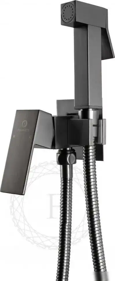 Гигиенический душ Filarete Fing FL101 (графит) - фото товара