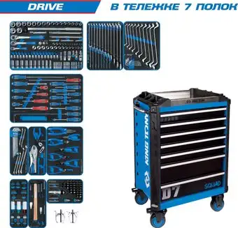 Универсальный набор инструментов King Tony Drive 9SQ31-251MRV (251 предмет) – изображение в каталоге