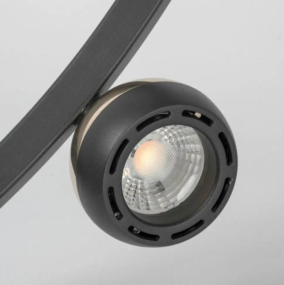 Подвесная люстра Lussole Lassen LSP-7253 – фото товара