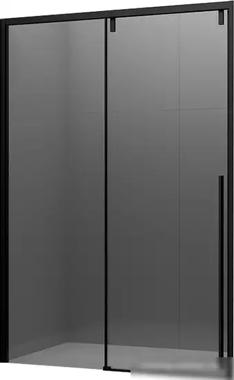 Душевая дверь Ambassador Intense 160x200 110022205IBB - изображение в каталоге