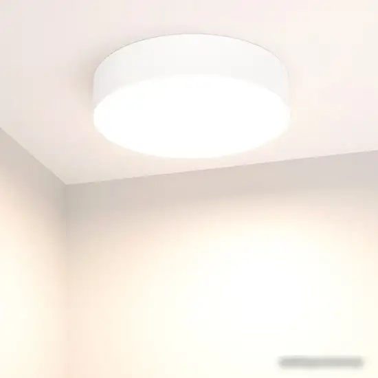 Светильник-тарелка Arlight SP-RONDO-R250-30W 022232(2) – фото товара