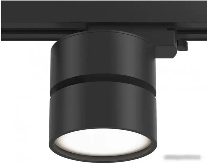 Трековый светильник Maytoni TR007-1-12W4K-B – фото товара