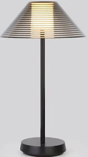 Настольная лампа Elektrostandard Mistery TL70210 (черный) – изображение в каталоге