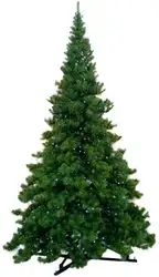 Ель GreenTerra Клеопатра 5 м – изображение в каталоге