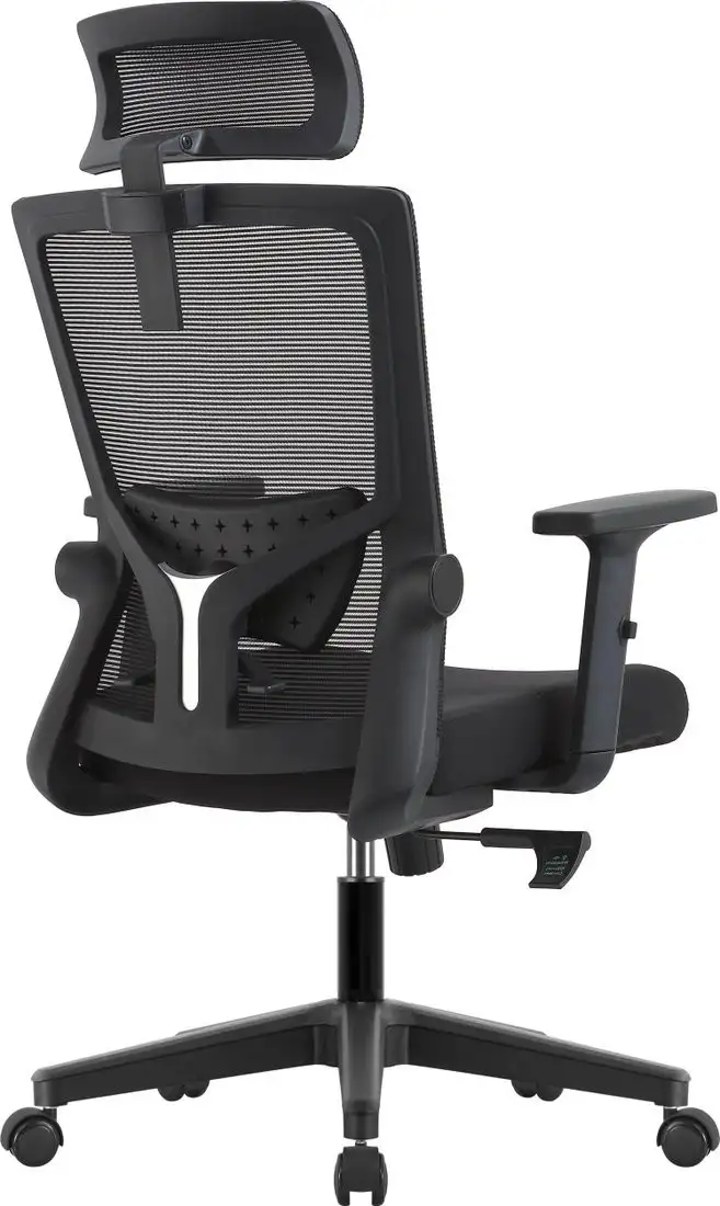 Офисное кресло Evolution ErgoLine 1 (черный) – фото товара