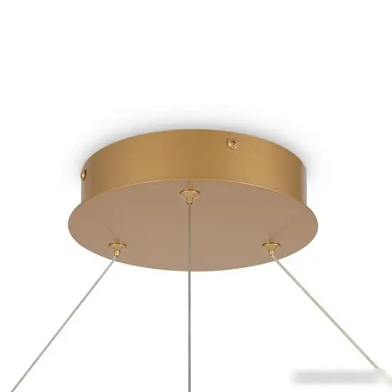 Подвесная люстра Maytoni Rim MOD058PL-L65BSK – фото товара