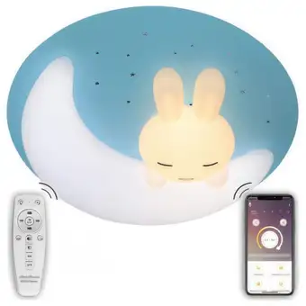 Светильник-тарелка Natali Kovaltseva Led Lamps Led Lamps 81087 – изображение в каталоге