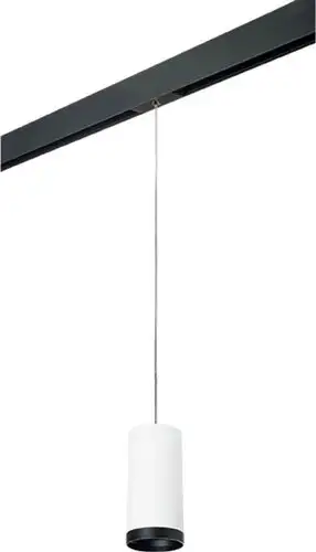 Трековый светильник Lightstar Rullo PRORP64863487 – изображение в каталоге