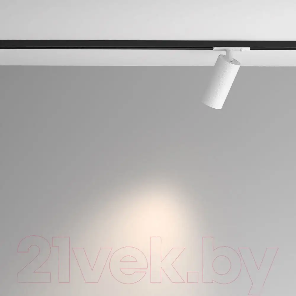 Трековый светильник Maytoni Artisan TR089-1-GU10-WW – фото товара