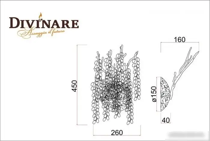 Бра Divinare Salice 3135/26 AP-2 – фото товара