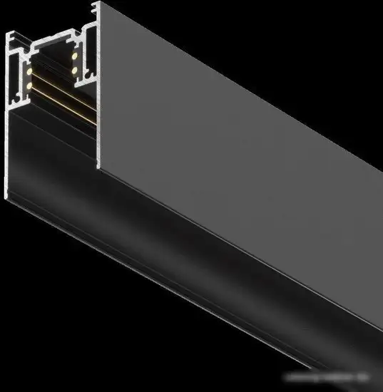 Шинопровод Maytoni Technical Gravity TRX010-411B – фото товара