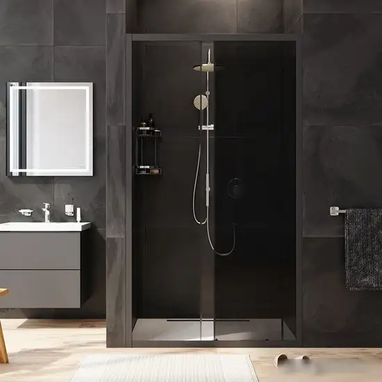 Душевая дверь AM.PM Gem Solo W90G-110-1-195BG - фото товара