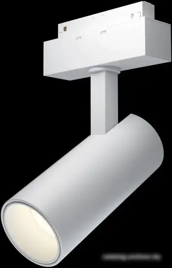 Точечный светильник Maytoni TR019-2-15W3K-W – фото товара