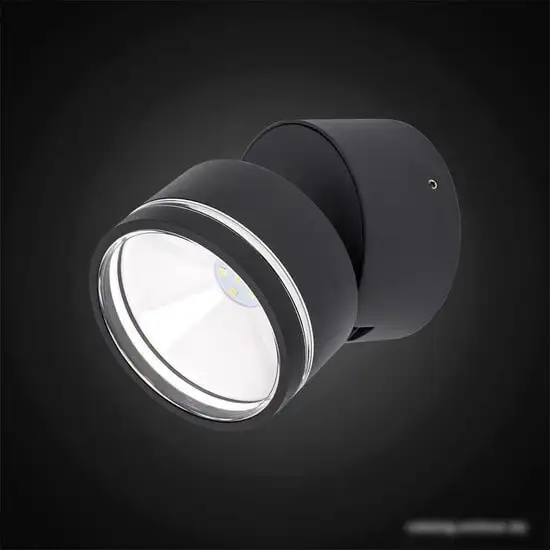 Уличный настенный светильник Citilux CLU0008R – фото товара