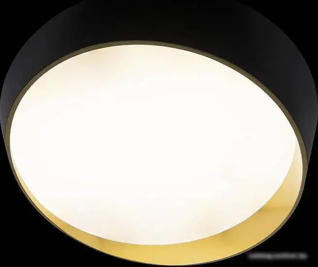 Припотолочная люстра LOFT IT Coin 10199 White – фото товара